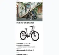 Kleine Seitenvorschau von shop.sfm-bikes.de