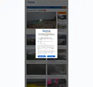 Kleine Seitenvorschau von skylinewebcams.com