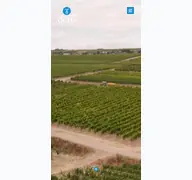 Kleine Seitenvorschau von weingut-ochs.de