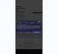 Kleine Seitenvorschau von amainvoice.de