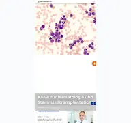 Kleine Seitenvorschau von haematologie.uk-essen.de