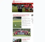 Kleine Seitenvorschau von haesenersv.de