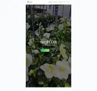 Kleine Seitenvorschau von thueflor.de