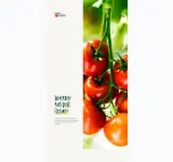 Kleine Seitenvorschau von hagdorn-tomaten.de