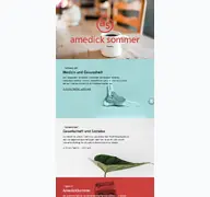 Kleine Seitenvorschau von amedick-sommer.de