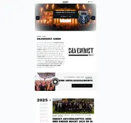 Kleine Seitenvorschau von silverdust.de