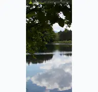 Kleine Seitenvorschau von campingseehof.at