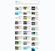 Kleine Seitenvorschau von simfisch.de