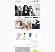 Kleine Seitenvorschau von hairprofishop.de