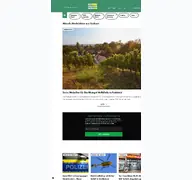 Kleine Seitenvorschau von diesachsen.de
