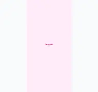 Kleine Seitenvorschau von canmake.com