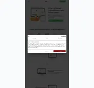 Kleine Seitenvorschau von picodi.com