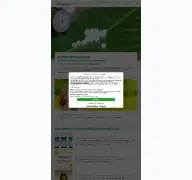 Kleine Seitenvorschau von hallo-homoeopathie.de