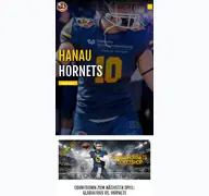 Kleine Seitenvorschau von hanauhornets.de