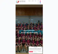 Kleine Seitenvorschau von handball-meschede.de
