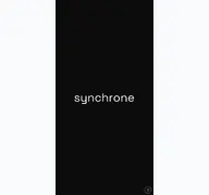 Kleine Seitenvorschau von synchrone.be