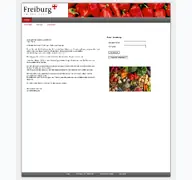 Kleine Seitenvorschau von sms-freiburg.de