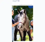 Kleine Seitenvorschau von tzp-empfingen.de