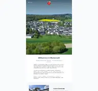 Kleine Seitenvorschau von blankenrath.de