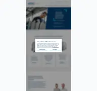 Kleine Seitenvorschau von blecher-fenster.de