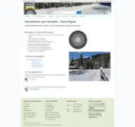 Kleine Seitenvorschau von snow-king.de