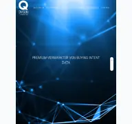 Kleine Seitenvorschau von q-division.de