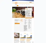 Kleine Seitenvorschau von sn-neuruppin.de
