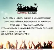 Kleine Seitenvorschau von sommersingen.de