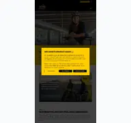 Kleine Seitenvorschau von somo2rad.de
