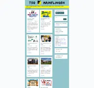 Kleine Seitenvorschau von tsg-mainflingen.de