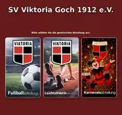 Kleine Seitenvorschau von viktoriagoch.de