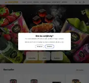 Kleine Seitenvorschau von holster-shop.de