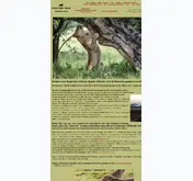 Kleine Seitenvorschau von lion-king-safaris.de
