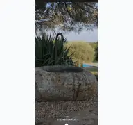 Kleine Seitenvorschau von steiner-naturstein.de