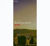 Kleine Seitenvorschau von hauenstein.de