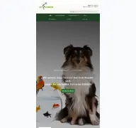 Kleine Seitenvorschau von vetscreen.de