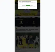 Kleine Seitenvorschau von vfb-auerbach.de