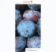 Kleine Seitenvorschau von obstbau-wedemeier.de