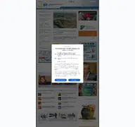Kleine Seitenvorschau von ipsnews.net