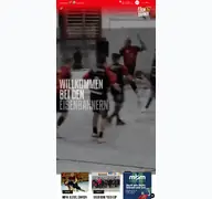 Kleine Seitenvorschau von handball-pirna.de