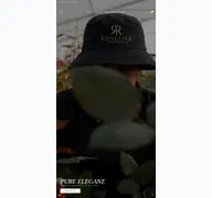 Kleine Seitenvorschau von roselier.de