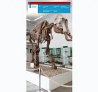 Kleine Seitenvorschau von spenglermuseum.de
