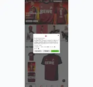 Kleine Seitenvorschau von fc-fanshop.de