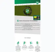 Kleine Seitenvorschau von tsv-neckartailfingen.de