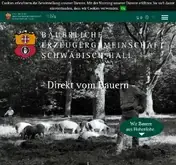 Kleine Seitenvorschau von mobile.shop.besh.de