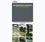 Kleine Seitenvorschau von spiel4fun.de