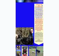Kleine Seitenvorschau von labrador-familienzucht.de