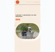 Kleine Seitenvorschau von labrador-hofstetten.de