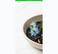 Kleine Seitenvorschau von orzax.de