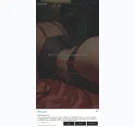 Kleine Seitenvorschau von anyway-sexshop.de